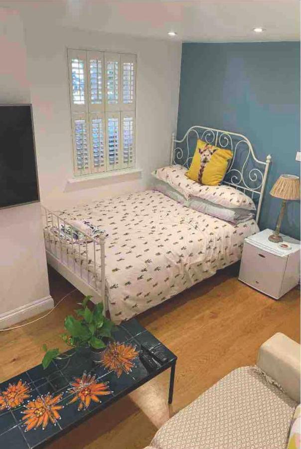 Stylish Modern Studio, Mock Georgian House, Heart Of Trendy Hackney & London Exteriör bild